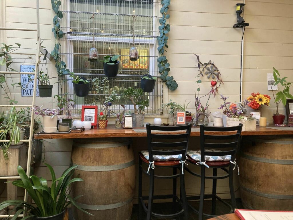 The charming patio, with plants, in San Francisco Wine and Cheese.