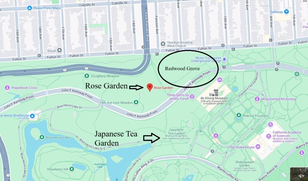 Map of Golden Gate park with Rose garden and Redwood grove